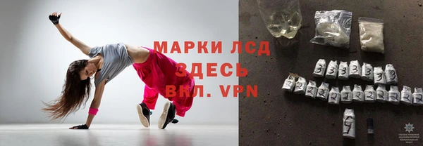 индика Алексеевка