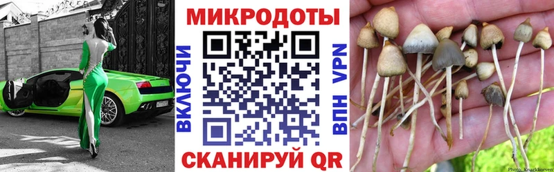 Купить  Сенгилей  Галлюциногенные грибы ЛСД 